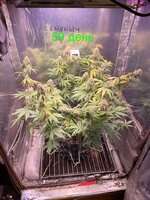 IMG_2698.jpeg