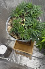 IMG_20260123_200933.jpg