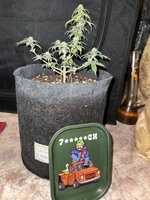 IMG_5610.jpeg