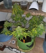 20260126_070529.jpg