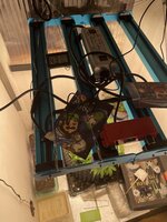 IMG_3017.jpeg