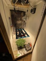 IMG_3111.jpeg