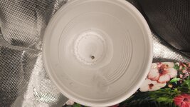 IMG_20260213_185050.jpg