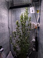 PXL_20260301_200007026.jpg