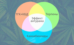 Effekt-anturazha-s-tochki-zreniya-nauki__v5rDiDIcz24O0Idg.jpg Effekt-anturazha-s-tochki-zreniya-nauki__v5rDiDIcz24O0Idg.jpg