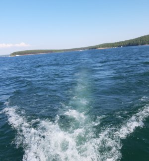 20220609_100940.jpg
