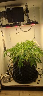 IMG_1263.jpeg