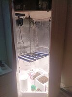 IMG_20260320_110246.jpg