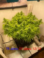 IMG_3582.jpeg