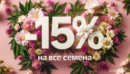 15%.jpg