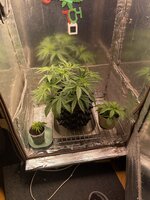IMG_3714.jpeg