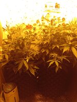 IMG_20260403_103538.jpg