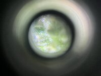 4 — копия.JPG