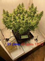 IMG_3810.jpeg