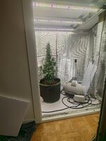 IMG_20260303_223528.jpg
