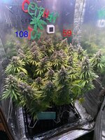 IMG_4046.jpeg