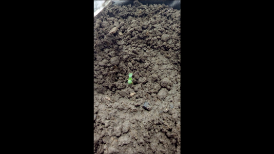 Screenshot_2022-06-15-21-39-39.png