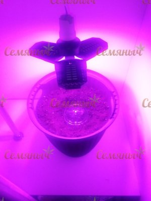 42-wm-83940.90000000142_watermarked.jpg