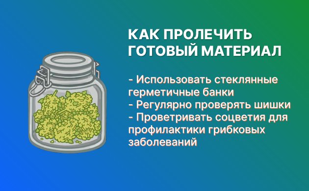 Prolechka-konopli-bez-pleseni.jpg Prolechka-konopli-bez-pleseni.jpg