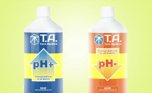 PH Up:D.png PH Up:D.png