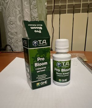 AD02672B-E5BD-4E36-85FC-6E7F646B3DF3.jpeg