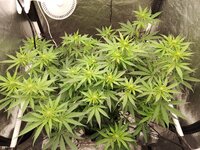 IMG_20260928_120523.jpg