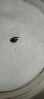 IMG_20260928_180713.jpg