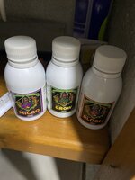 IMG_0210.jpeg