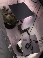 TC_00015[1].JPG