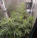 IMG_20261005_013708.jpg