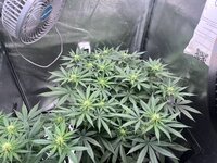 IMG_0403.jpeg