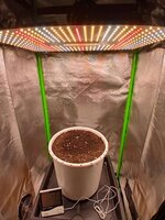 1000015434.jpg