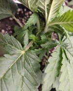 20261015_171336.jpg