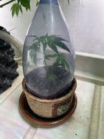 IMG_5704.jpeg
