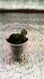 IMG_20261018_122125_522.jpg
