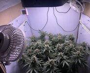 IMG_3139.jpeg