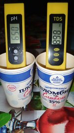 1000135543.jpg