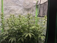 IMG_20261022_071244.jpg