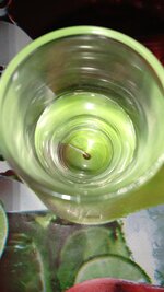 IMG_20261027_084256_280.jpg