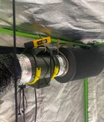 IMG_7454.jpeg