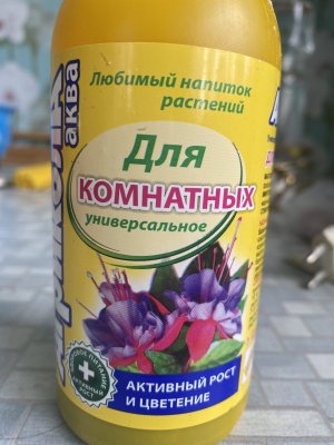 42028831-AD32-4DC3-89FE-6E20BD4EDADA.jpeg