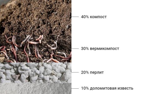 Рецепт почвосмеси для выращивания конопли