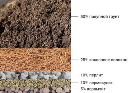 Рецепт почвосмеси для выращивания конопли