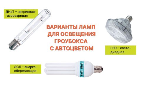 Освещение для автоцвета в домашних условиях