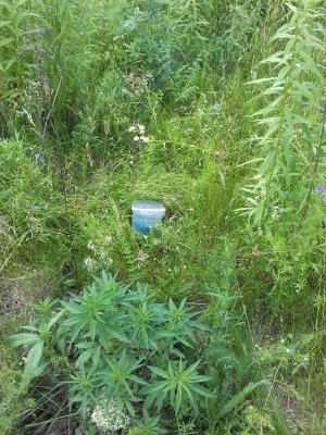 20160502_232619.jpg 20160502_232619.jpg