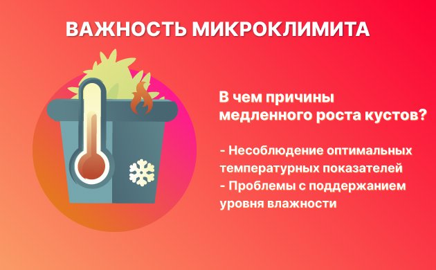 неподходящий микроклимат неподходящий микроклимат