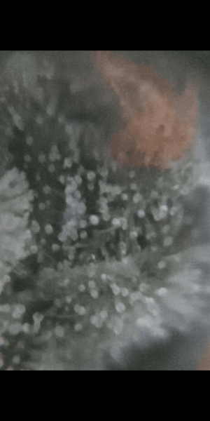 Screenshot_20220920-002136.png