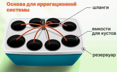 Компоненты базовой системы полива Компоненты базовой системы полива