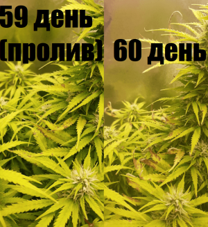 1664989798500.png
