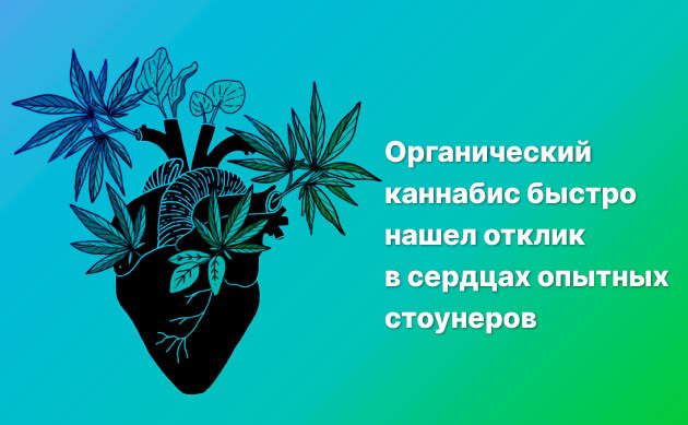 Органическая конопля – так что же это? Органическая конопля – так что же это?